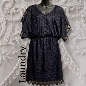 Lace Covered Laundry Dress